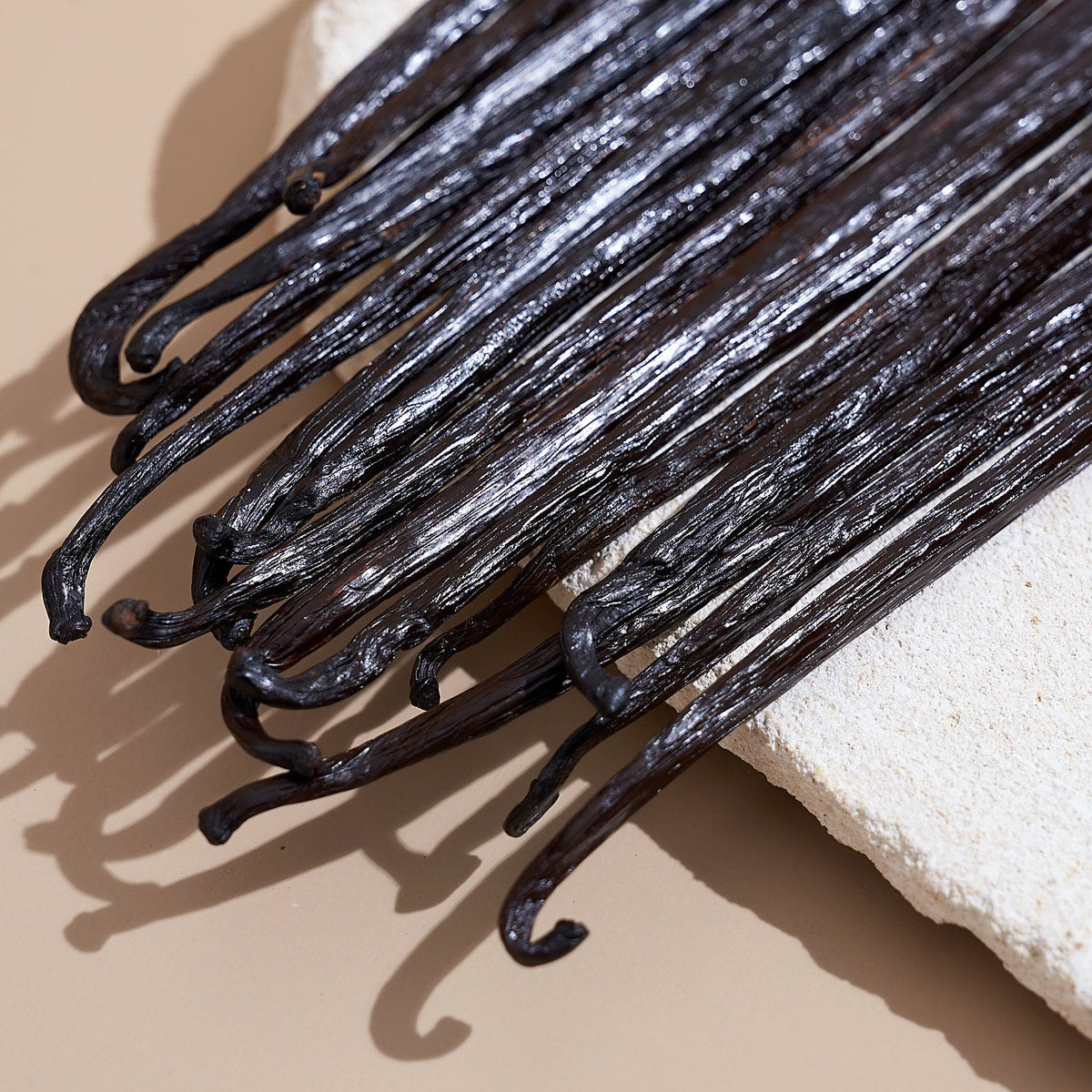 Bundle of cured Tahitian vanilla beans, Papua New Guinea — Tahitian vanilla beans, Papua New Guinea