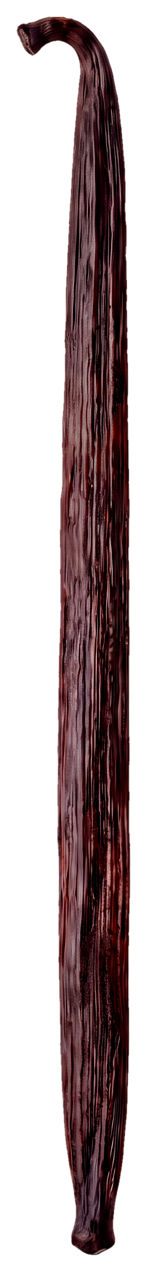 A single Bourbon vanilla bean