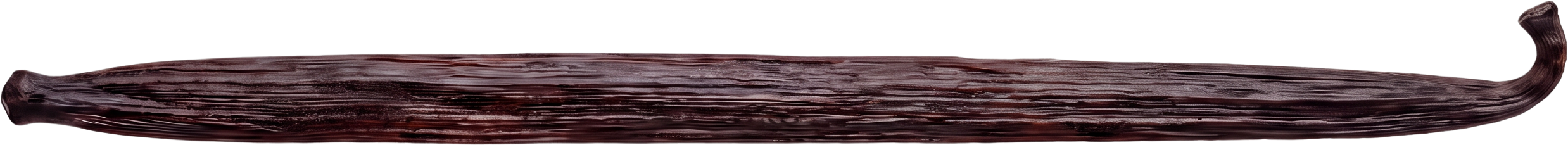 A single whole Bourbon vanilla bean, laid flat