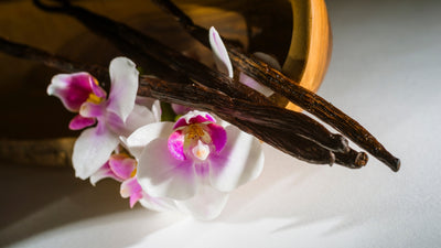 Why gourmet vanilla beans are the secret ingredient that your baked goods are missing.