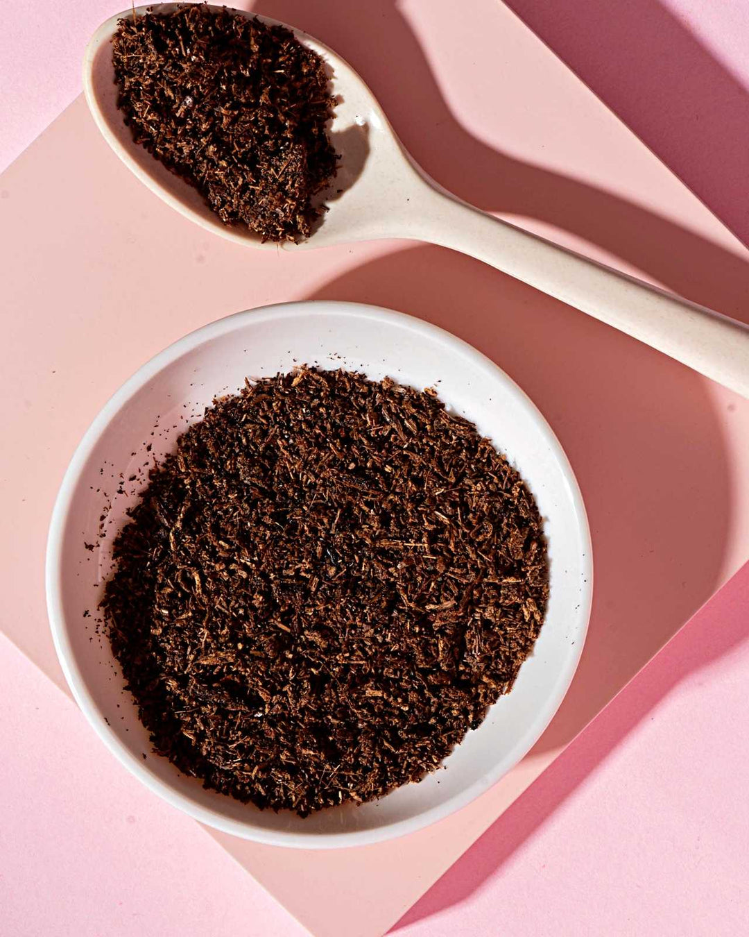 The Origins of Vanilla