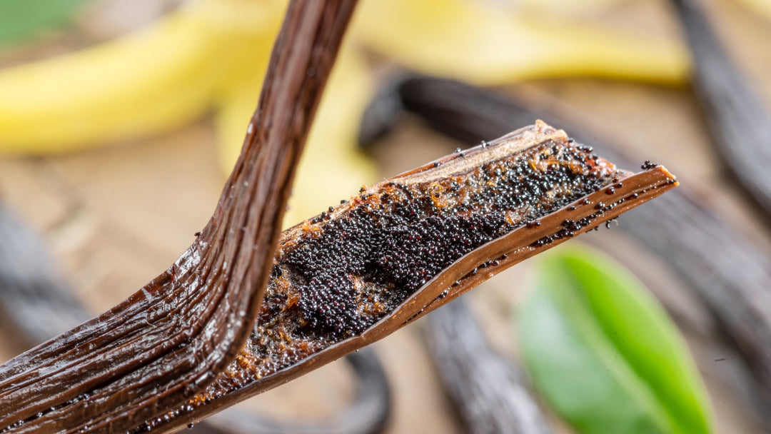 wo vanilla pods side by side, one longer and thinner (Vanilla Planifolia) and the other shorter and plumper (Tahitensis), on a white background with text overlay reading 'The Difference Between Vanilla Planifolia and Tahitensis'