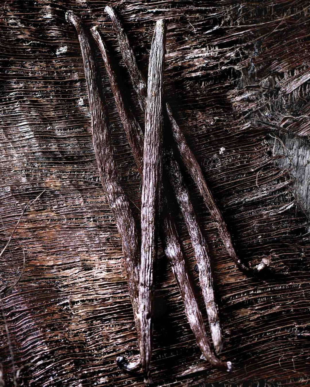 Vanilla beans laying on a dark brown linen canvas. 