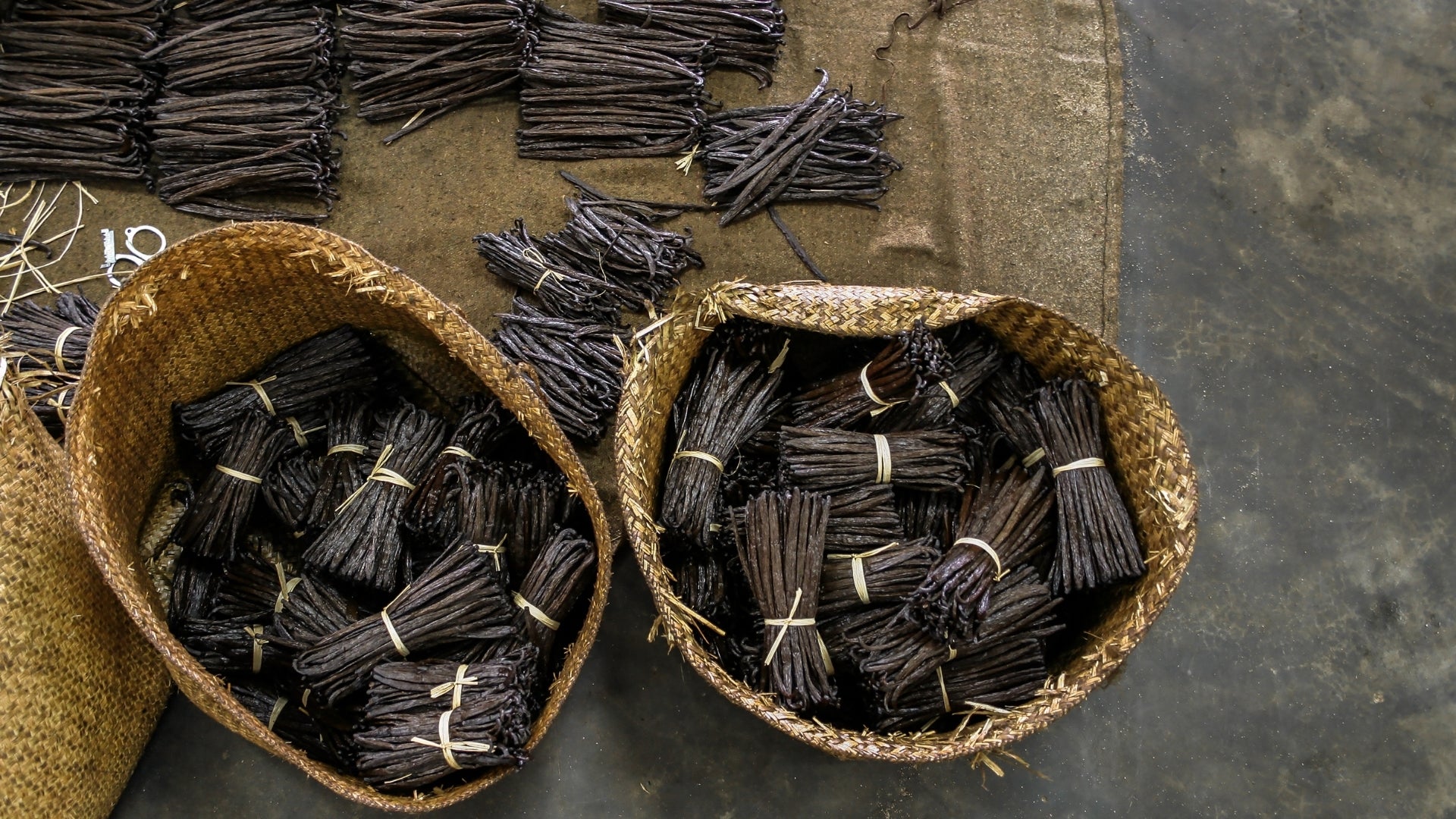 Wholesale Gourmet Bourbon & Tahitian Vanilla Beans
